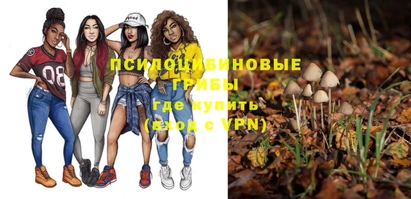 ГАЛЛЮЦИНОГЕННЫЕ ГРИБЫ Балахна