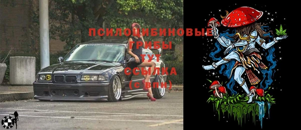 ГАЛЛЮЦИНОГЕННЫЕ ГРИБЫ Балахна