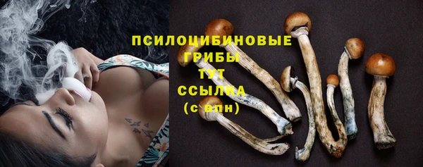 spice Баксан